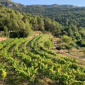 El Celler De Cal Garriga Capafonts